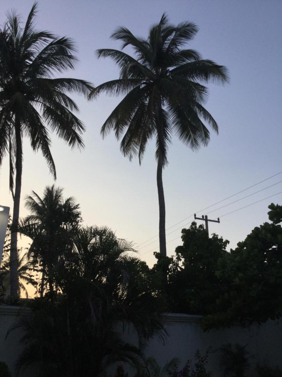 Hotel Arista Bugambilias Puerto Arista Zewnętrze zdjęcie