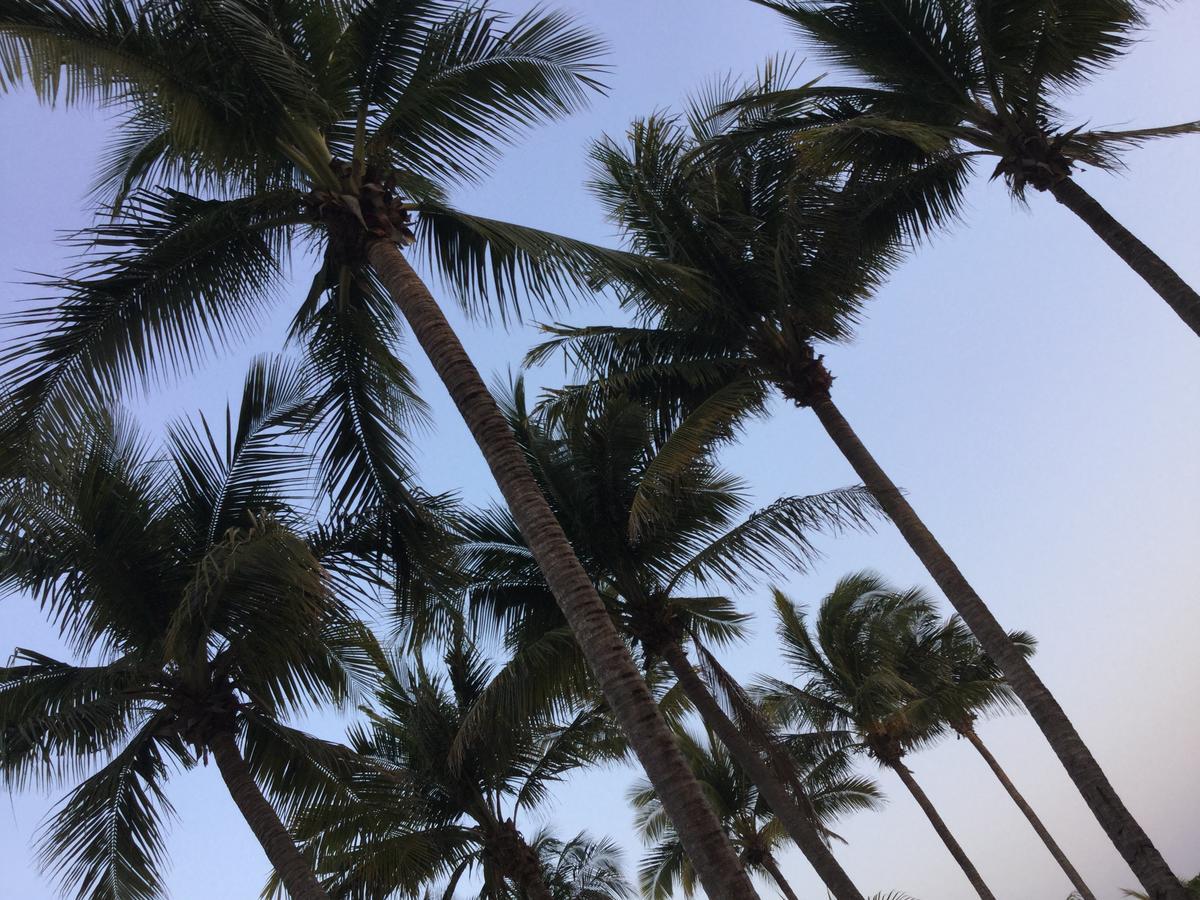 Hotel Arista Bugambilias Puerto Arista Zewnętrze zdjęcie